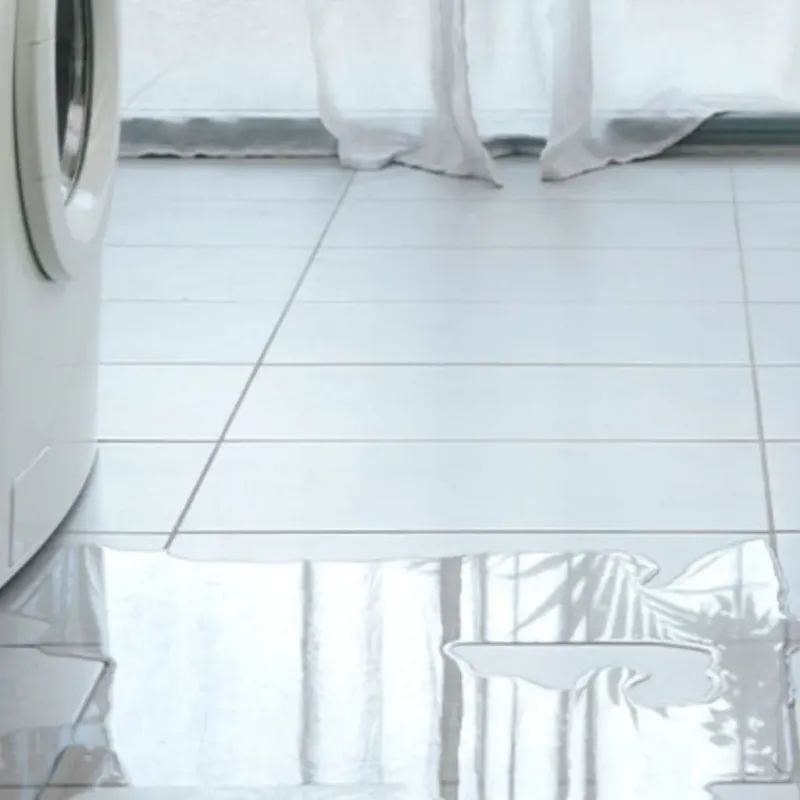 Appliance Leak Cleanup in Deweyville, TX