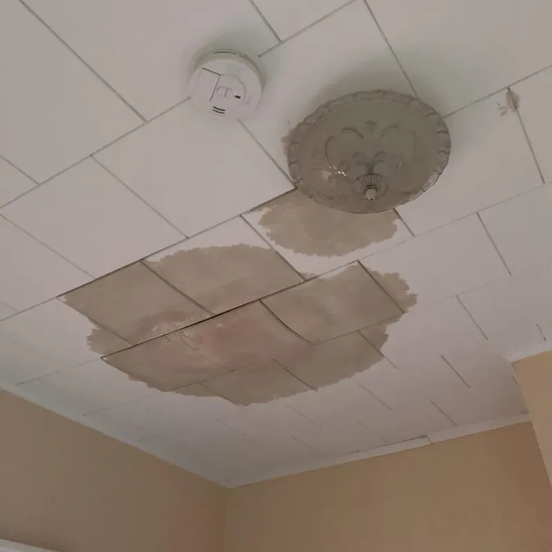 Ceiling Water Damage Repair in Deweyville, TX